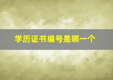 学历证书编号是哪一个