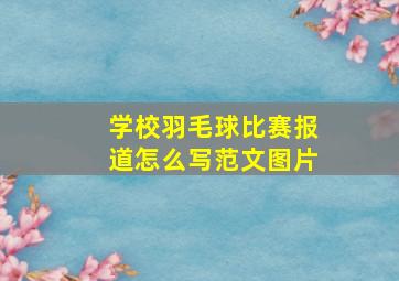 学校羽毛球比赛报道怎么写范文图片