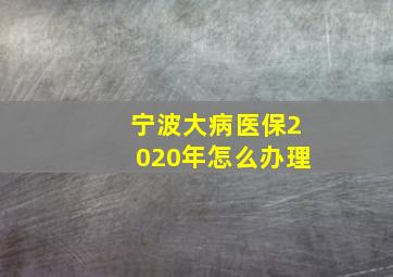 宁波大病医保2020年怎么办理