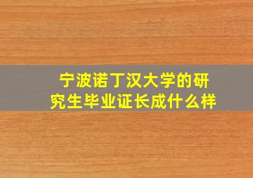 宁波诺丁汉大学的研究生毕业证长成什么样