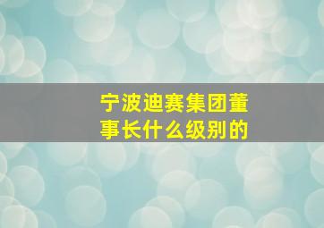 宁波迪赛集团董事长什么级别的