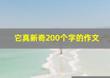 它真新奇200个字的作文