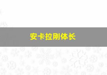 安卡拉刚体长