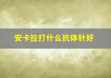 安卡拉打什么抗体针好