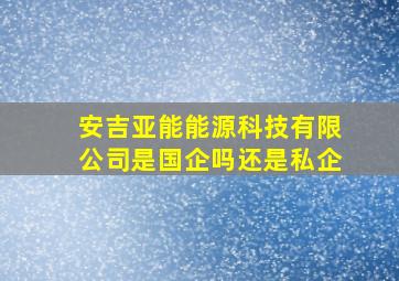 安吉亚能能源科技有限公司是国企吗还是私企