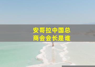 安哥拉中国总商会会长是谁