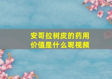 安哥拉树皮的药用价值是什么呢视频