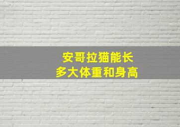 安哥拉猫能长多大体重和身高