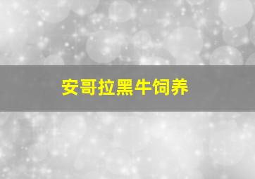 安哥拉黑牛饲养