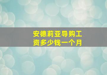 安德莉亚导购工资多少钱一个月