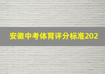 安徽中考体育评分标准202