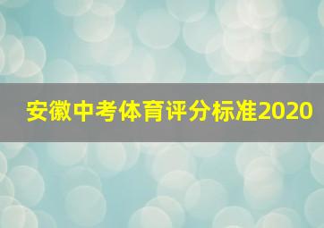 安徽中考体育评分标准2020