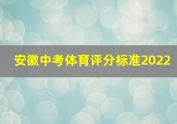 安徽中考体育评分标准2022