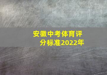 安徽中考体育评分标准2022年