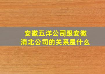 安徽五洋公司跟安徽清北公司的关系是什么