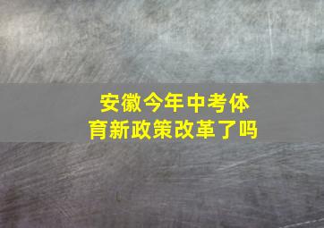 安徽今年中考体育新政策改革了吗