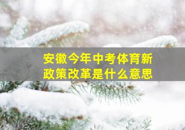 安徽今年中考体育新政策改革是什么意思