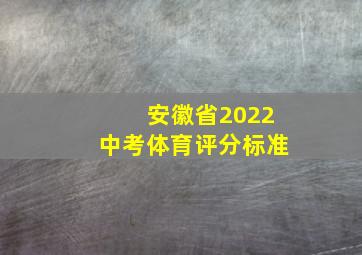 安徽省2022中考体育评分标准