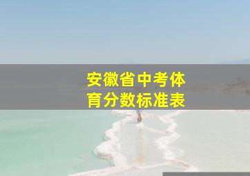 安徽省中考体育分数标准表