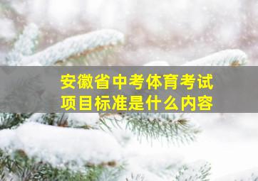 安徽省中考体育考试项目标准是什么内容