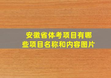 安徽省体考项目有哪些项目名称和内容图片