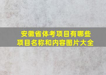 安徽省体考项目有哪些项目名称和内容图片大全