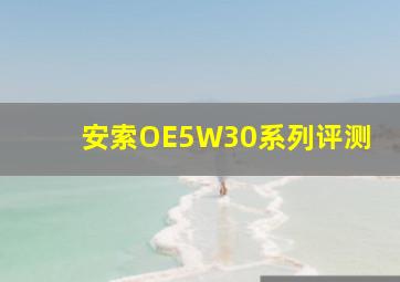 安索OE5W30系列评测