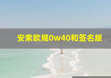 安索欧规0w40和签名版