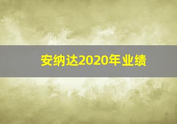 安纳达2020年业绩