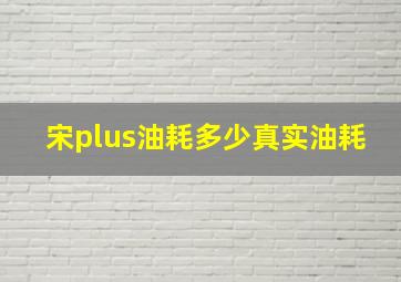 宋plus油耗多少真实油耗