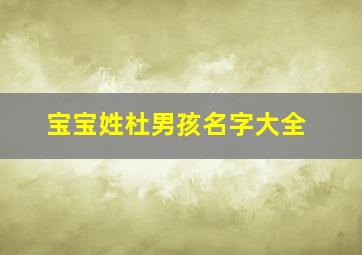 宝宝姓杜男孩名字大全