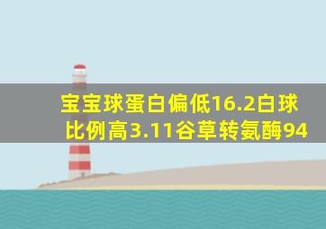 宝宝球蛋白偏低16.2白球比例高3.11谷草转氨酶94