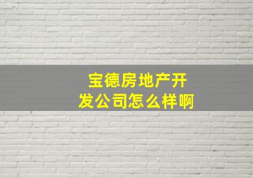 宝德房地产开发公司怎么样啊