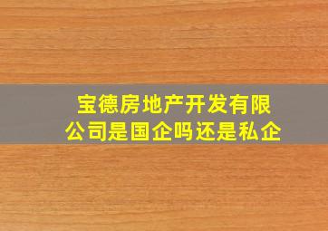 宝德房地产开发有限公司是国企吗还是私企