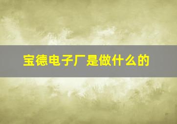 宝德电子厂是做什么的