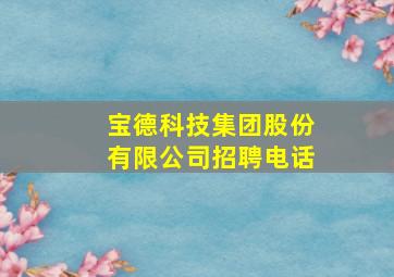 宝德科技集团股份有限公司招聘电话