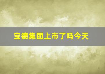 宝德集团上市了吗今天