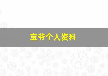 宝爷个人资料