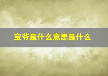 宝爷是什么意思是什么