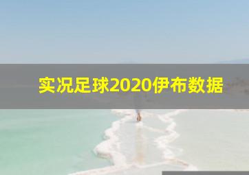 实况足球2020伊布数据