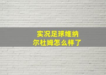 实况足球维纳尔杜姆怎么样了