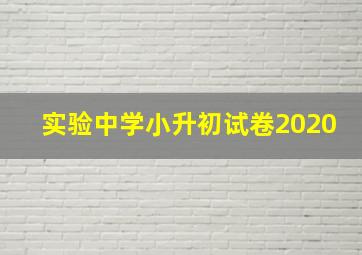 实验中学小升初试卷2020