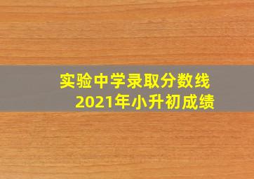 实验中学录取分数线2021年小升初成绩