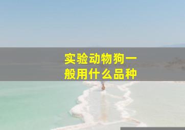 实验动物狗一般用什么品种