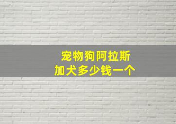 宠物狗阿拉斯加犬多少钱一个