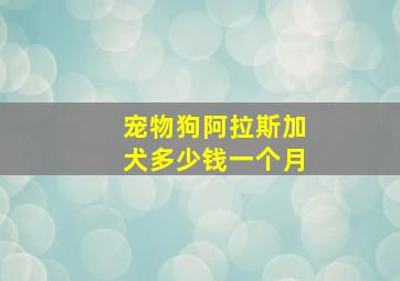 宠物狗阿拉斯加犬多少钱一个月