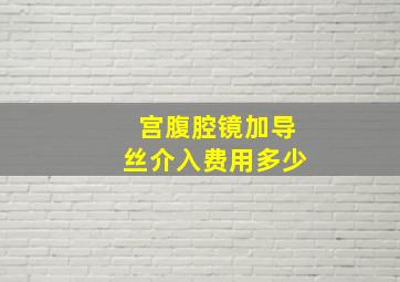 宫腹腔镜加导丝介入费用多少