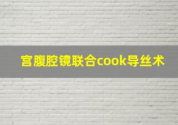 宫腹腔镜联合cook导丝术