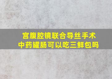 宫腹腔镜联合导丝手术中药罐肠可以吃三鲜包吗