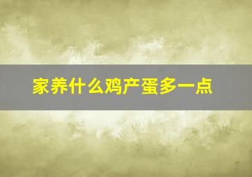 家养什么鸡产蛋多一点